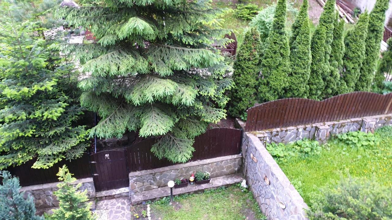 Green View Σινάια Εξωτερικό φωτογραφία